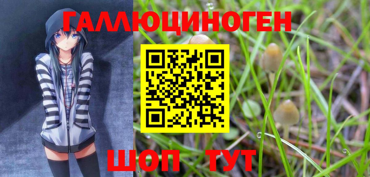 Заринск  Псилоцибиновые грибы Psilocybe  магазин продажи наркотиков  Вход с VPN 