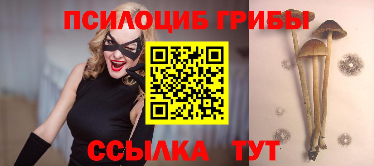 Галлюциногенные грибы GOLDEN TEACHER Заринск